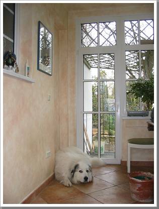 0057_f005  flur mit hund.jpg